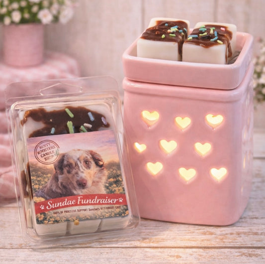 Sundae Fundraiser Wax Melts