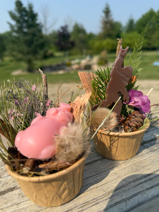 🔥 Fire Starters 🔥